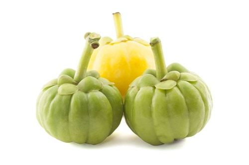garcinia cambogia vertu amaigrissante