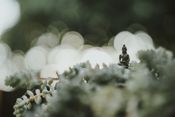 decoration-zen-nature