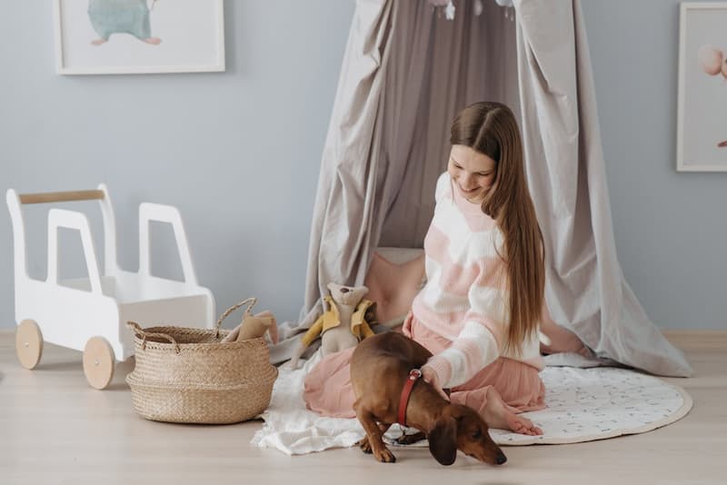 Un moment de jeu avec son chien