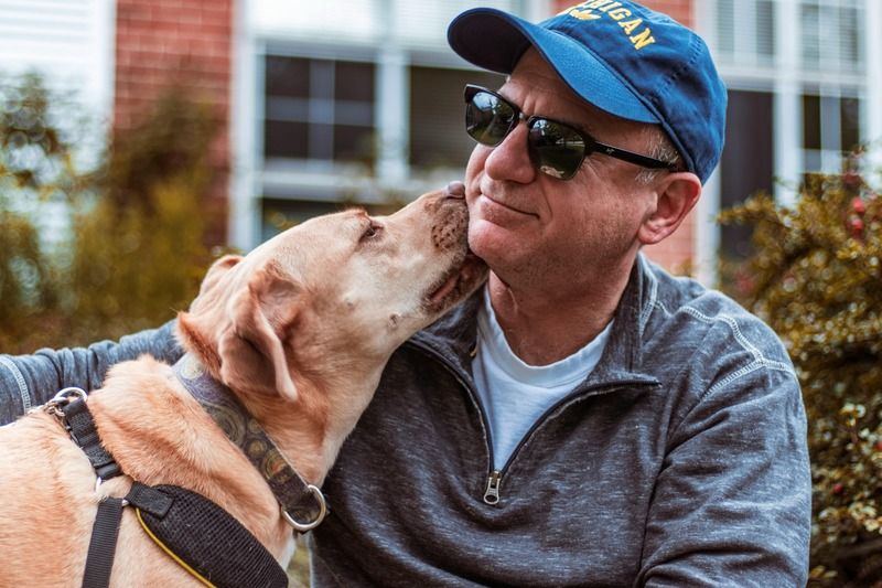 un chien et son propriétaire
